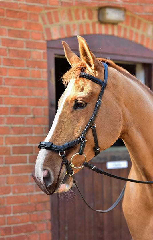 Equilibrium Net Relief Anatomic Muzzle Nets - Ashurst Equestrian & Country