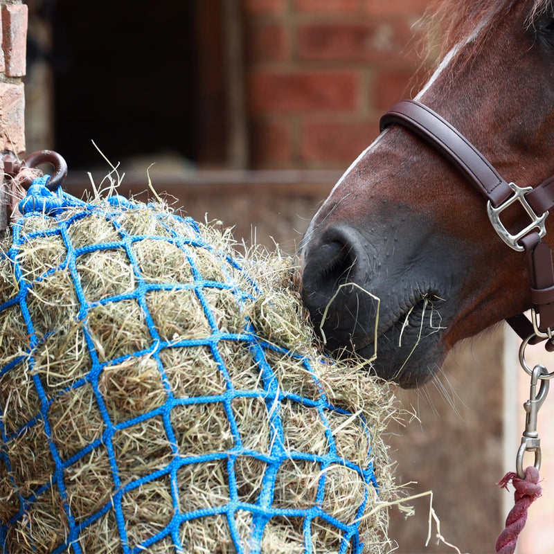 Load image into Gallery viewer, Equilibrium Portionpacer Haynet Steady Feeder - Ashurst Equestrian &amp; Country
