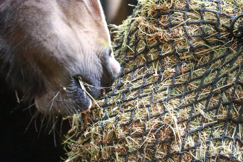 Load image into Gallery viewer, Equilibrium Portionpacer Haynet Steady Feeder - Ashurst Equestrian &amp; Country
