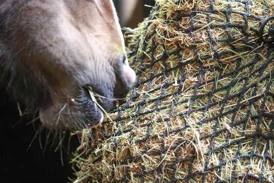 Equilibrium Portionpacer Haynet Steady Feeder - Ashurst Equestrian & Country