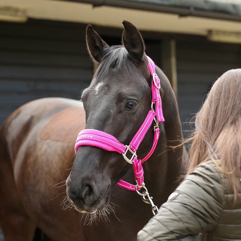 Load image into Gallery viewer, Equilibrium Stellar Style Headcollar Pink - Ashurst Equestrian &amp; Country

