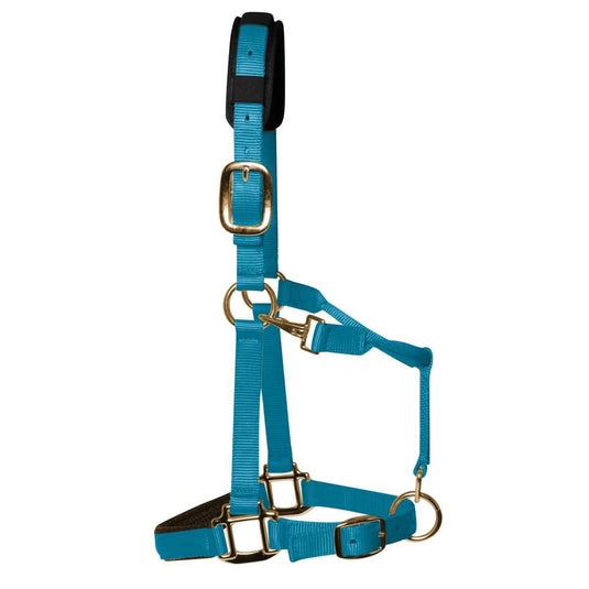 KM Elite Head Collar
