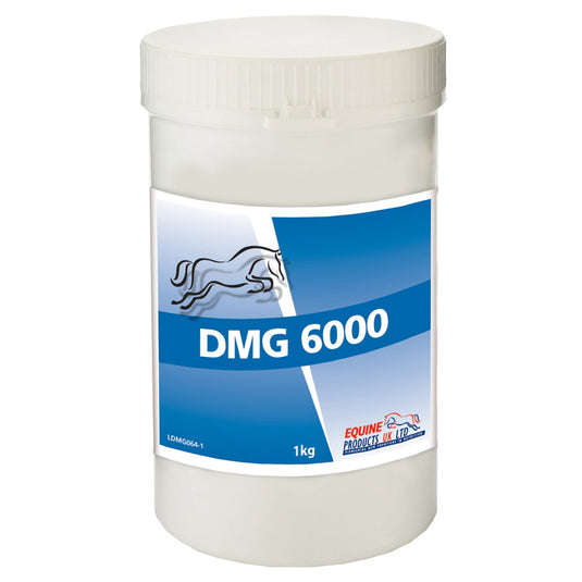 Equine Products Dmg 6000 - Ashurst Equestrian & Country