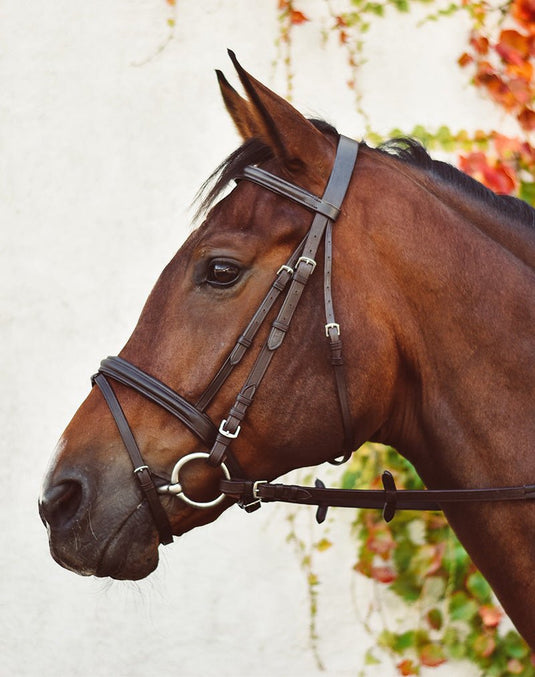 EquiSential Bridle & Reins Cob BLACK - Ashurst Equestrian & Country