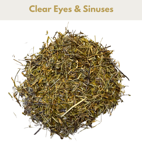 Eyebright - Ashurst Equestrian & Country