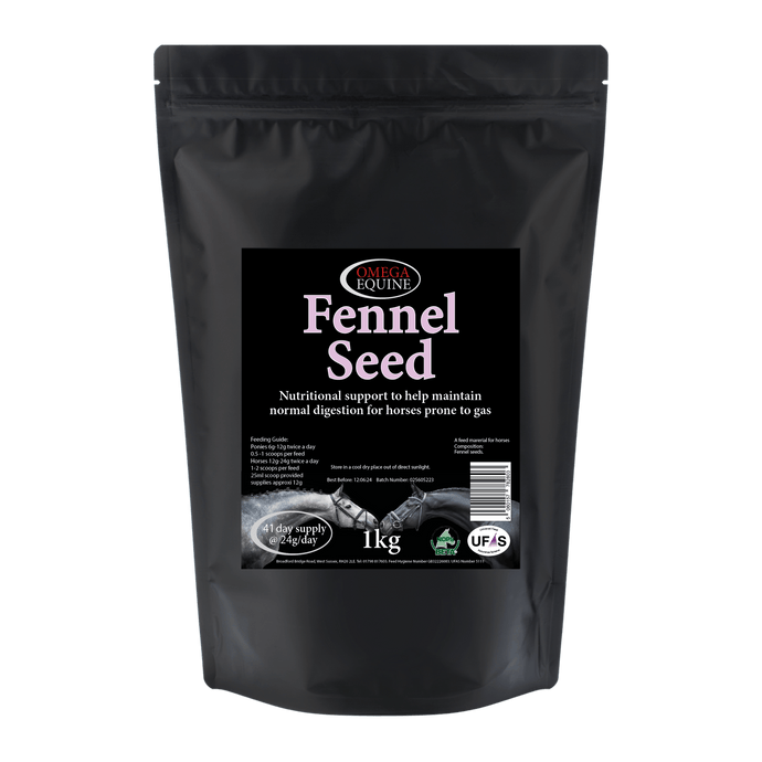 Fennel - Ashurst Equestrian & Country