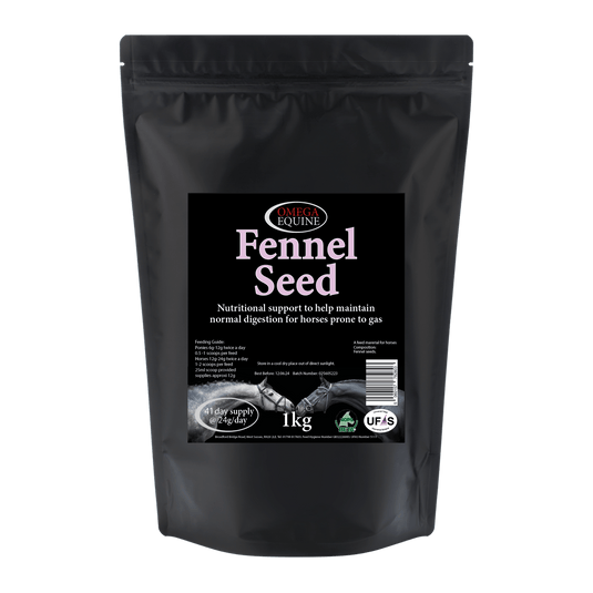 Fennel - Ashurst Equestrian & Country