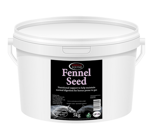 Fennel - Ashurst Equestrian & Country