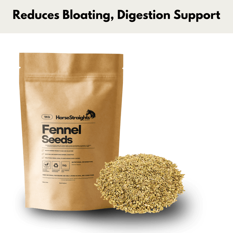 Load image into Gallery viewer, Fennel Seeds - Ashurst Equestrian &amp; Country
