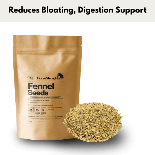 Fennel Seeds - Ashurst Equestrian & Country
