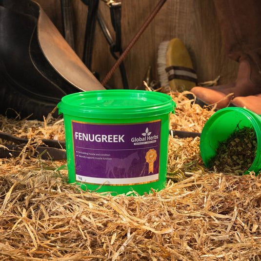 Fenugreek 1kg - Global Herbs - Ashurst Equestrian & Country