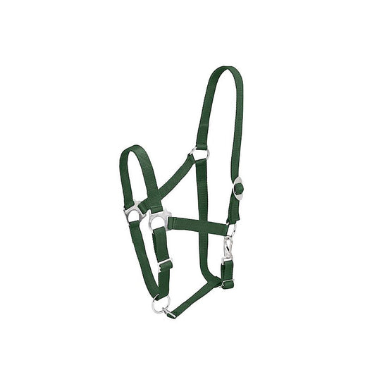 Firefoot Economy Adjustable Headcollar Green - Ashurst Equestrian & Country