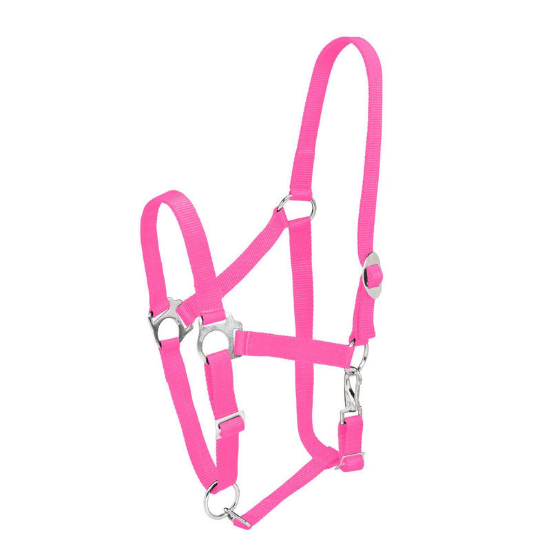 Load image into Gallery viewer, Firefoot Economy Adjustable Headcollar Pink - Ashurst Equestrian &amp; Country
