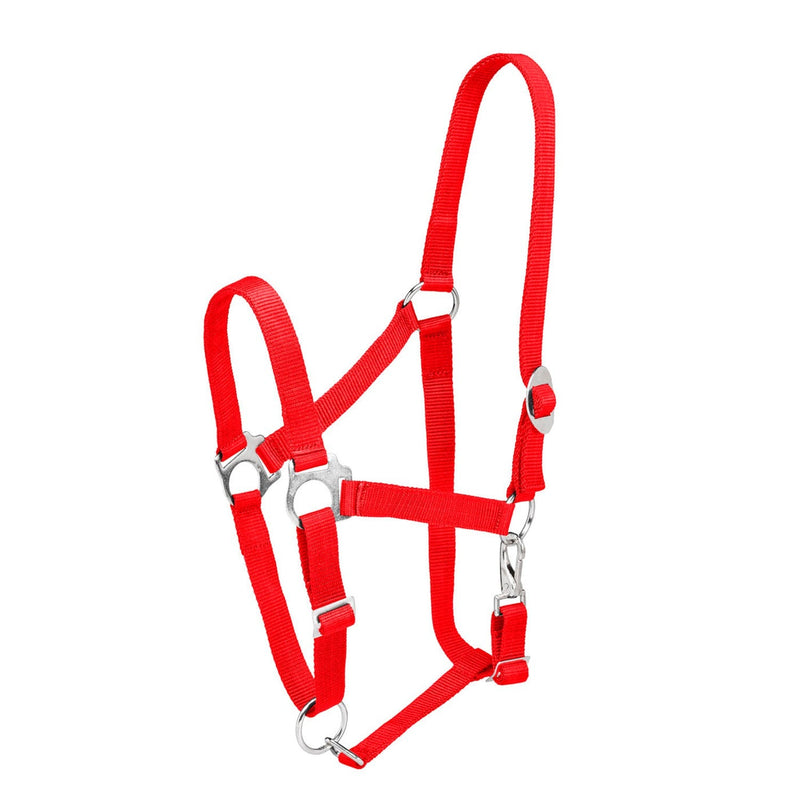 Load image into Gallery viewer, Firefoot Economy Adjustable Headcollar Red - Ashurst Equestrian &amp; Country

