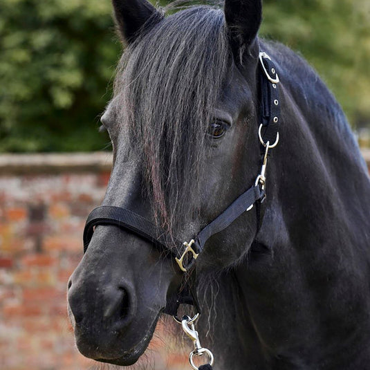 Firefoot Field Safe Adjustable Headcollar Black/Silver - Ashurst Equestrian & Country