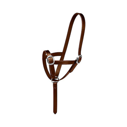 Firefoot Foal Slip Leather - Ashurst Equestrian & Country