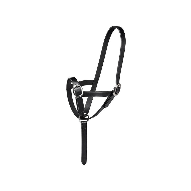 Load image into Gallery viewer, Firefoot Foal Slip Leather - Ashurst Equestrian &amp; Country
