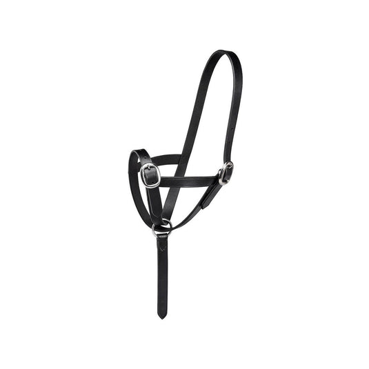 Firefoot Foal Slip Leather - Ashurst Equestrian & Country