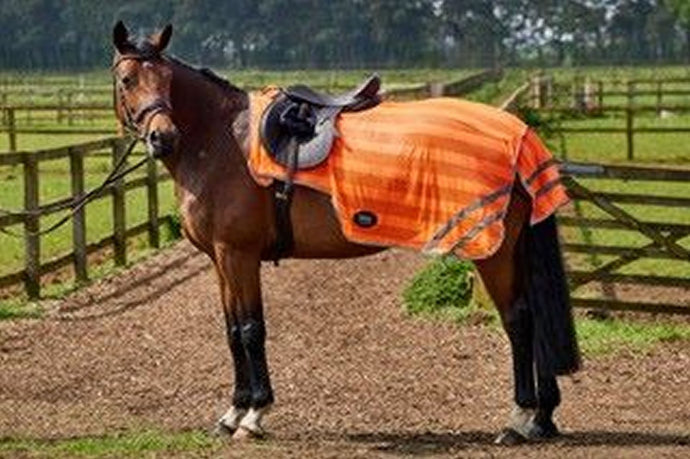Firefoot Reflective Exercise Sheet Orange - Ashurst Equestrian & Country