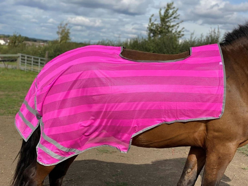 Load image into Gallery viewer, Firefoot Reflective Exercise Sheet Pink - Ashurst Equestrian &amp; Country
