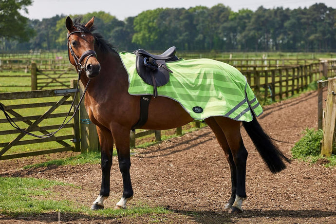 Firefoot Reflective Exercise Sheet Reflective - Ashurst Equestrian & Country