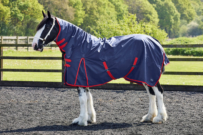 Firefoot Turnout Rug Fixed Neck 100 Gm Navy/Red - Ashurst Equestrian & Country