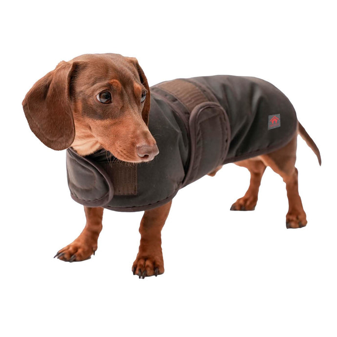 Firefoot Waxed Dachshund Coat - Ashurst Equestrian & Country