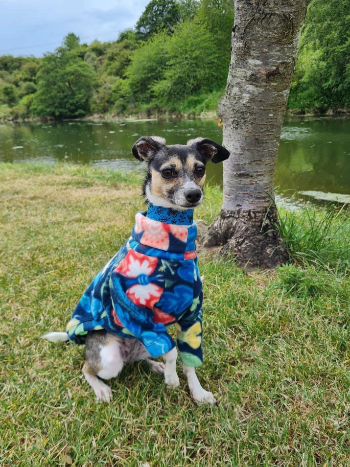 Load image into Gallery viewer, Fleece Jumper - Butterflys - Ashurst Equestrian &amp; Country
