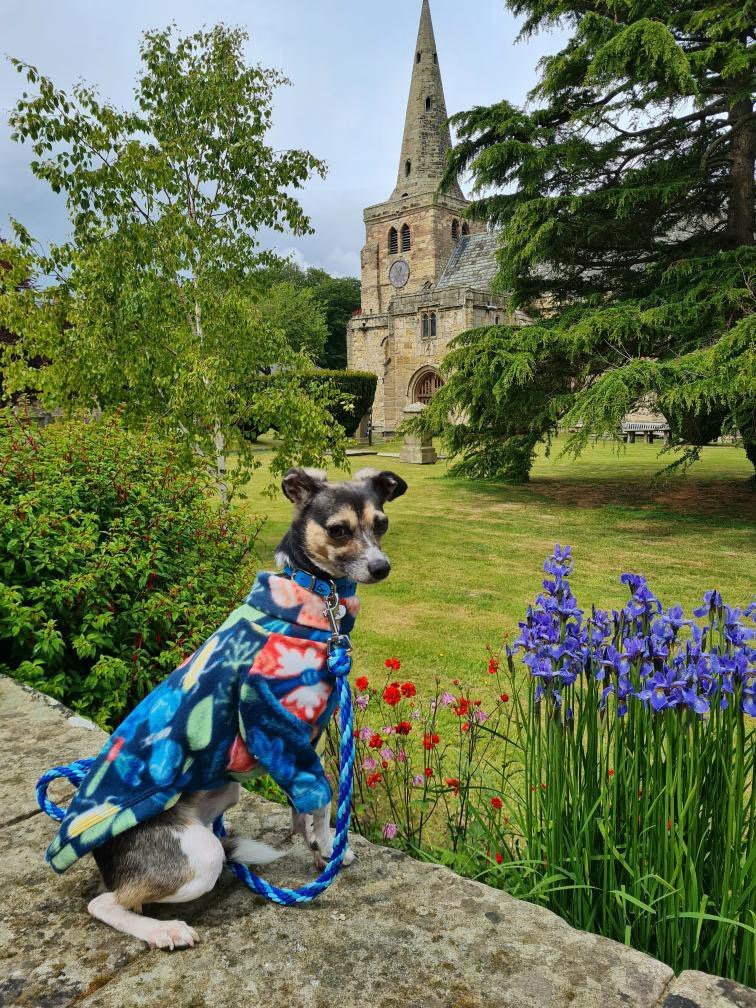 Load image into Gallery viewer, Fleece Jumper - Butterflys - Ashurst Equestrian &amp; Country
