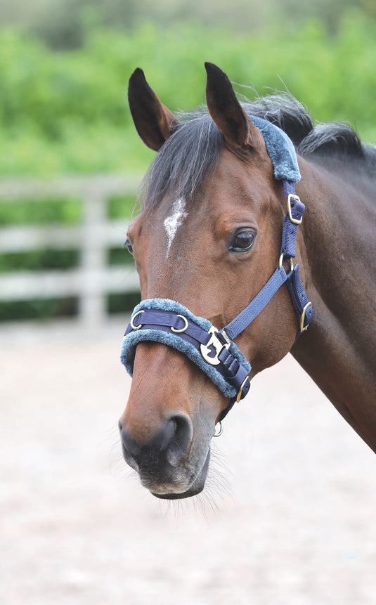 Fleece Lined Lunge Cavesson - Ashurst Equestrian & Country