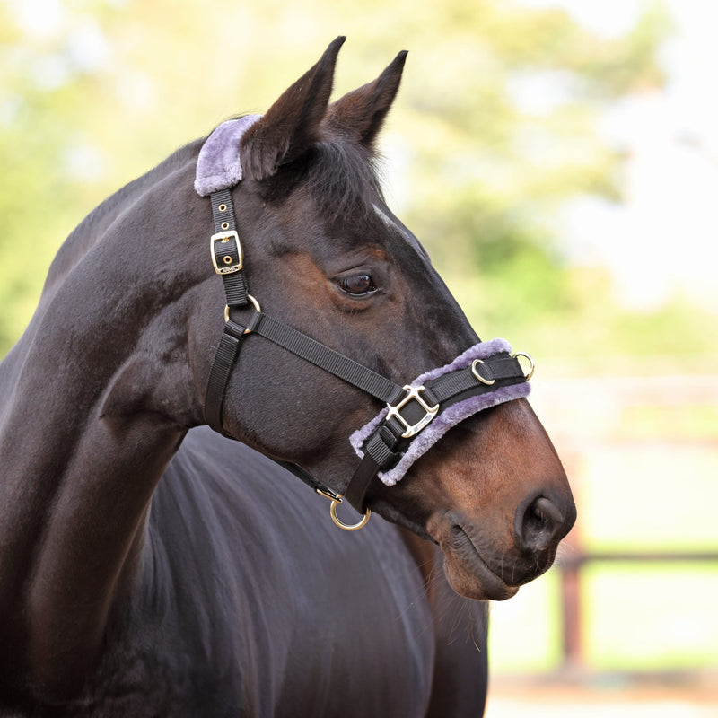 Load image into Gallery viewer, Fleece Lined Lunge Cavesson - Ashurst Equestrian &amp; Country
