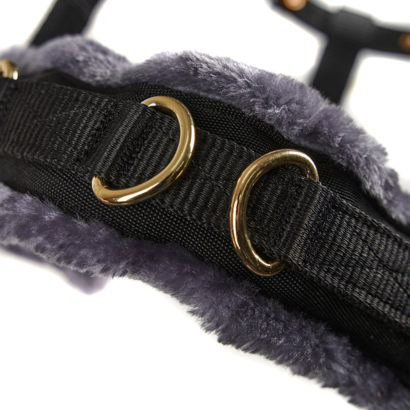 Load image into Gallery viewer, Fleece Lined Lunge Cavesson - Ashurst Equestrian &amp; Country
