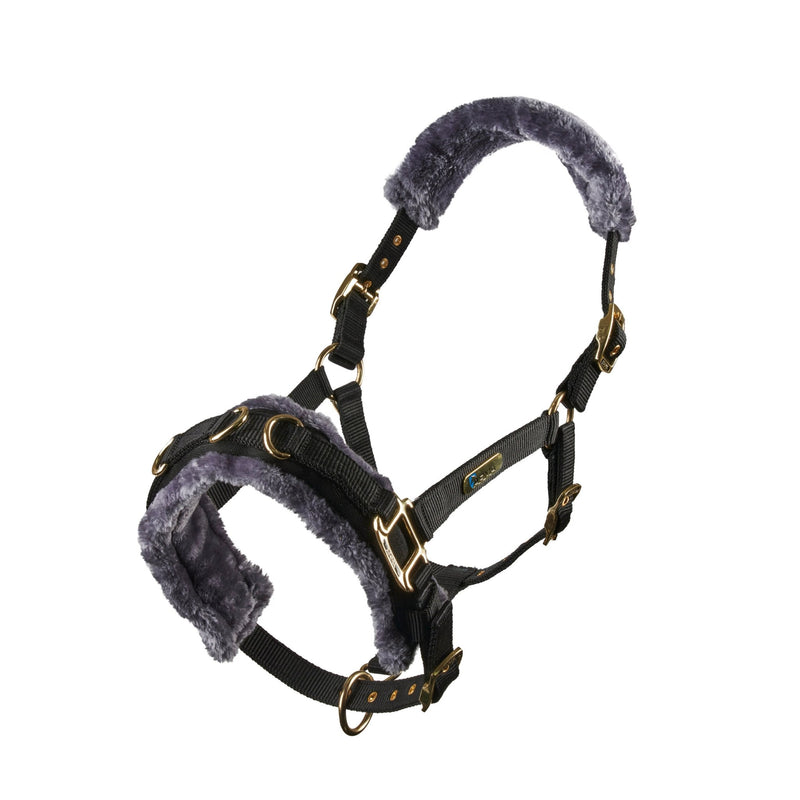 Load image into Gallery viewer, Fleece Lined Lunge Cavesson - Ashurst Equestrian &amp; Country
