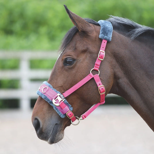 Fleece Lined Lunge Cavesson - Ashurst Equestrian & Country