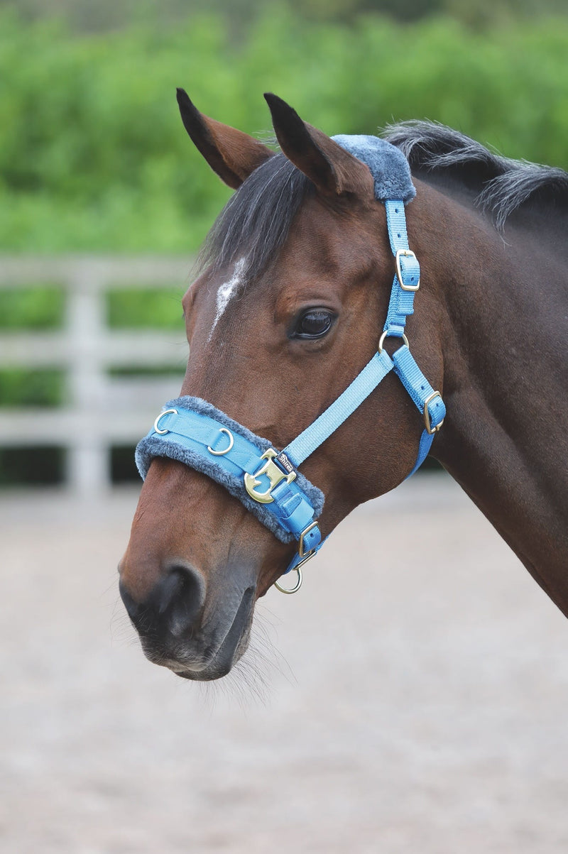 Load image into Gallery viewer, Fleece Lined Lunge Cavesson - Ashurst Equestrian &amp; Country
