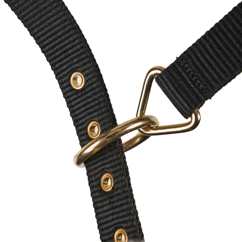 Load image into Gallery viewer, Fleece Lined Lunge Cavesson - Ashurst Equestrian &amp; Country
