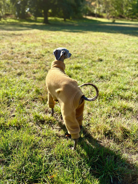 Fleece Lined Sweatshirt - Charcoal Grey - Ashurst Equestrian & Country