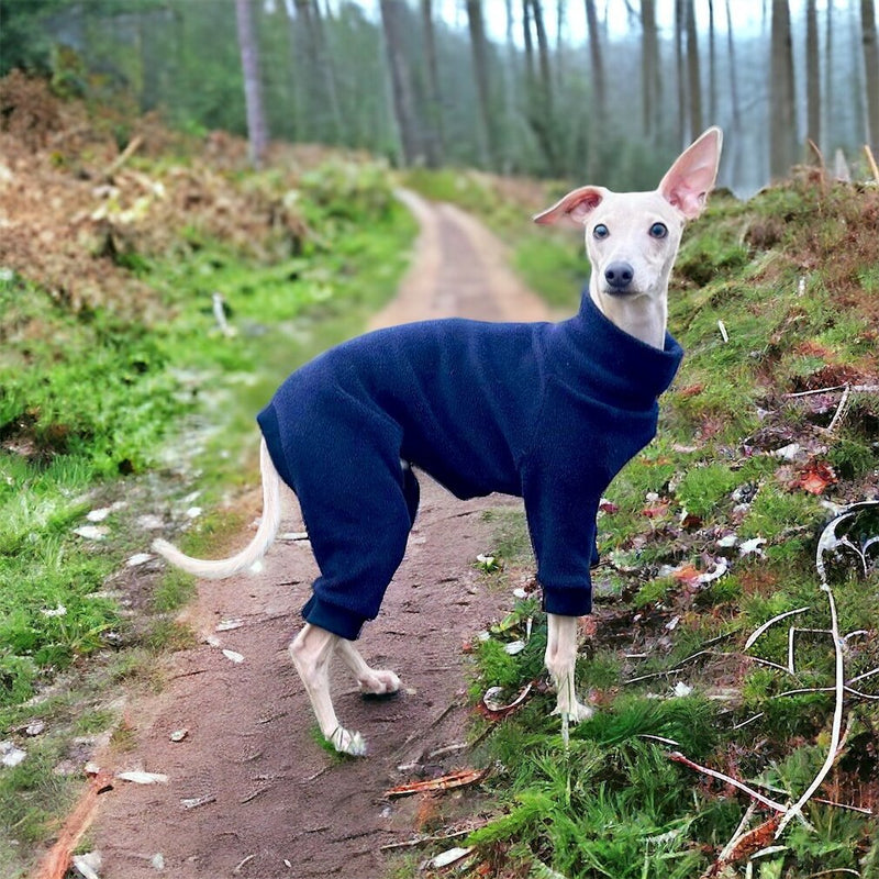 Load image into Gallery viewer, Fleece Lined Sweatshirt - Charcoal Grey - Ashurst Equestrian &amp; Country
