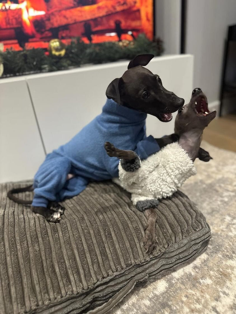 Load image into Gallery viewer, Fleece Lined Sweatshirt - Charcoal Grey - Ashurst Equestrian &amp; Country
