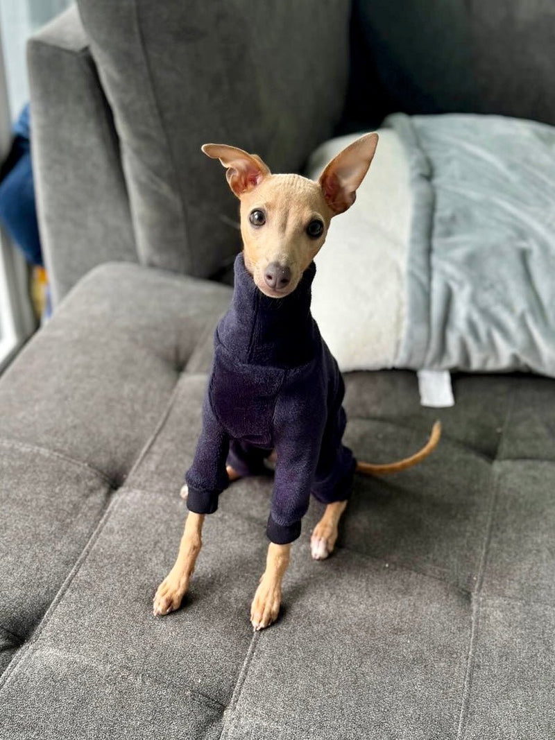 Load image into Gallery viewer, Fleece Lined Sweatshirt - Charcoal Grey - Ashurst Equestrian &amp; Country
