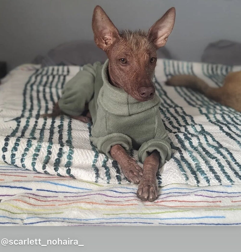 Load image into Gallery viewer, Fleece Lined Sweatshirt - Charcoal Grey - Ashurst Equestrian &amp; Country
