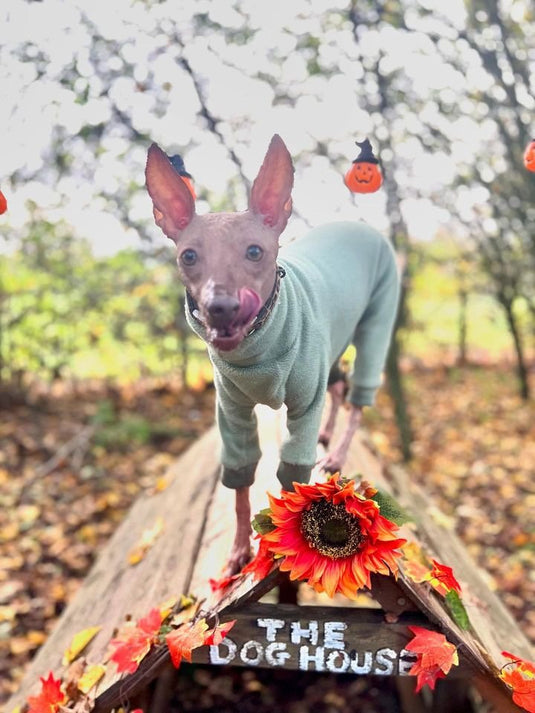 Fleece Lined Sweatshirt - Charcoal Grey - Ashurst Equestrian & Country