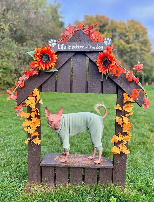 Fleece Lined Sweatshirt - Charcoal Grey - Ashurst Equestrian & Country