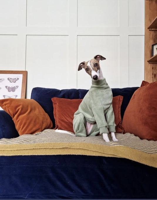 Fleece Lined Sweatshirt - Charcoal Grey - Ashurst Equestrian & Country