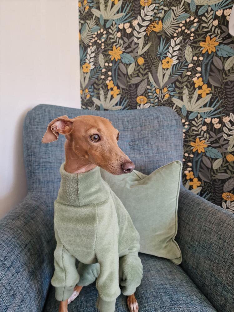 Load image into Gallery viewer, Fleece Lined Sweatshirt - Charcoal Grey - Ashurst Equestrian &amp; Country
