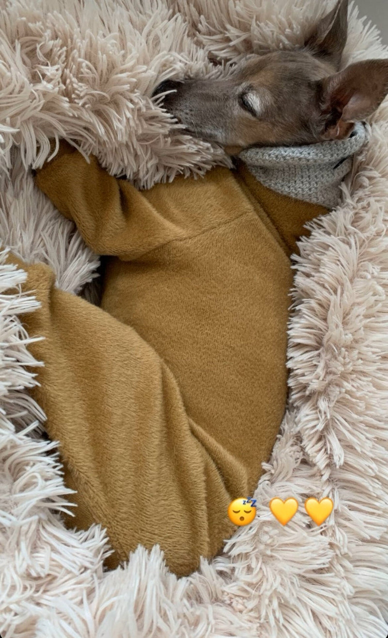 Load image into Gallery viewer, Fleece Lined Sweatshirt - Honey Yellow - Ashurst Equestrian &amp; Country
