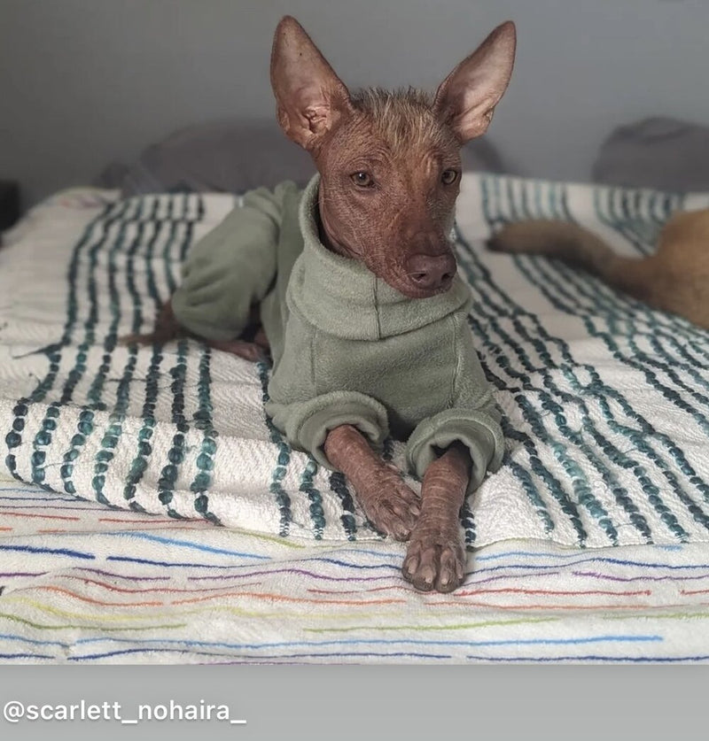 Load image into Gallery viewer, Fleece Lined Sweatshirt - Honey Yellow - Ashurst Equestrian &amp; Country
