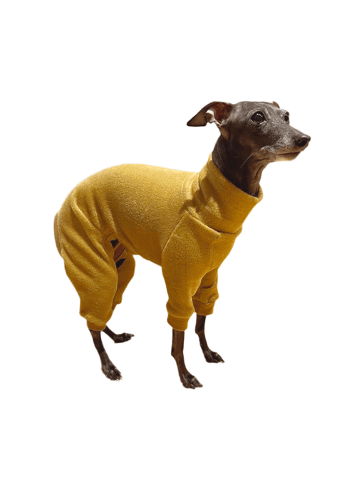 Fleece Lined Sweatshirt - Honey Yellow - Ashurst Equestrian & Country