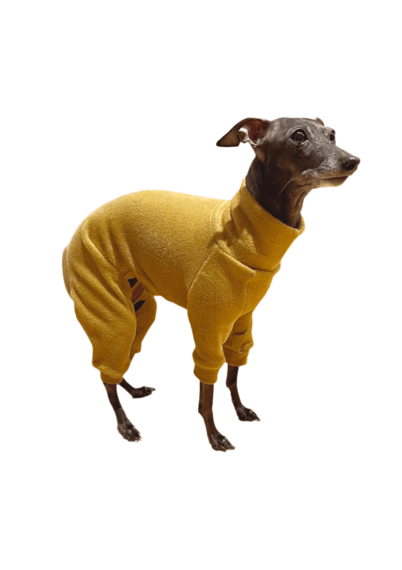 Load image into Gallery viewer, Fleece Lined Sweatshirt - Honey Yellow - Ashurst Equestrian &amp; Country
