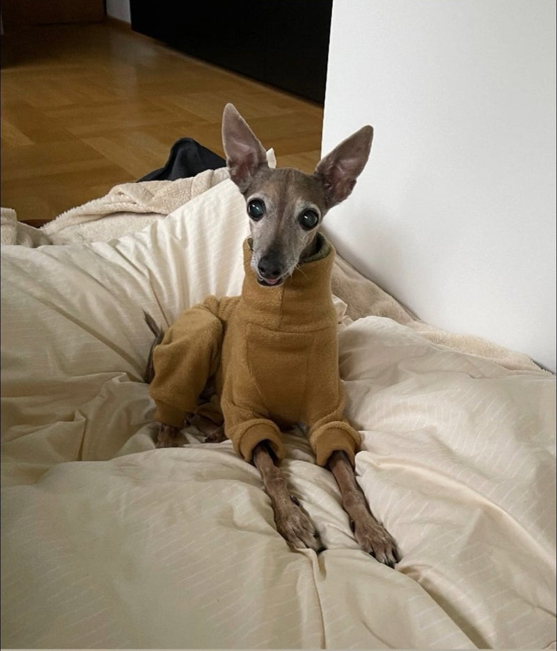 Load image into Gallery viewer, Fleece Lined Sweatshirt - Honey Yellow - Ashurst Equestrian &amp; Country
